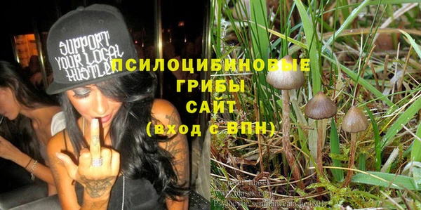 соль курить ск Новодвинск