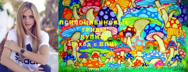 Галлюциногенные грибы MAGIC MUSHROOMS  мега tor  Полярные Зори 